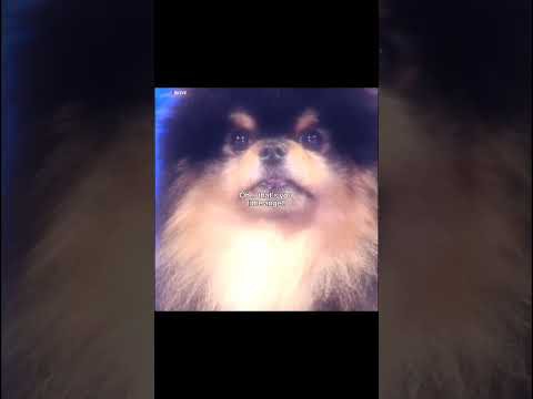 뷔 (방탄소년단)의 비하인드 컷