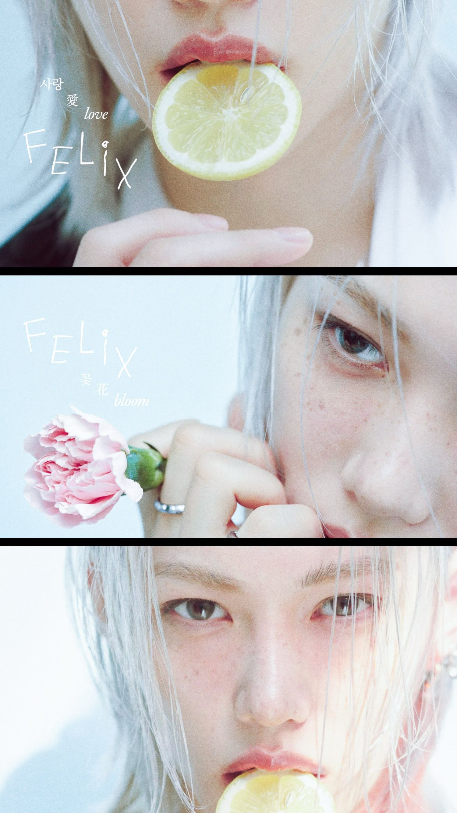 Felix (Stray Kids)粉丝拍下的瞬间