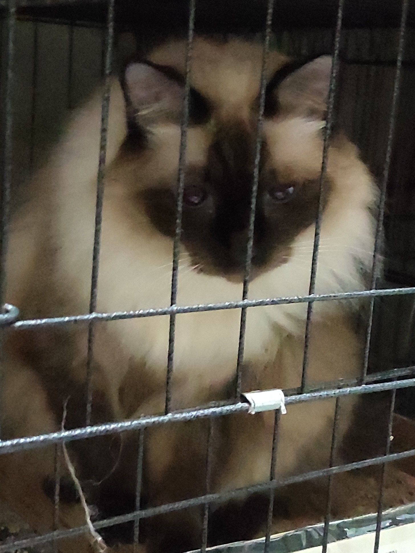 A moment captured by KAZUHA (LE SSERAFIM)'s fan