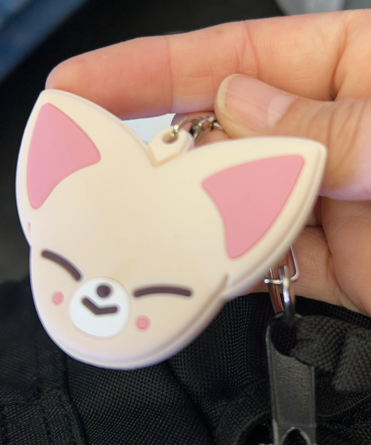 A moment captured by I.N (Stray Kids)'s fan