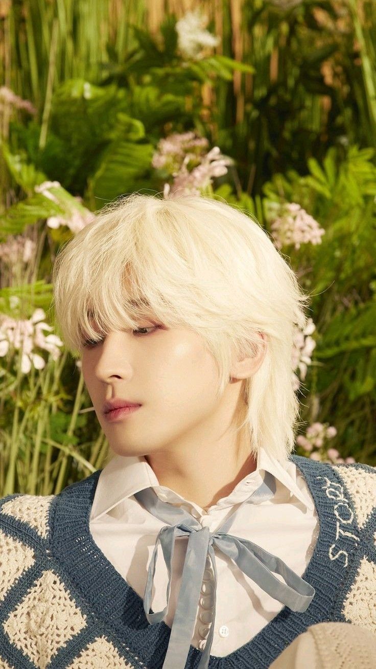 圓佑 (SEVENTEEN)粉絲最喜愛的經典桌布