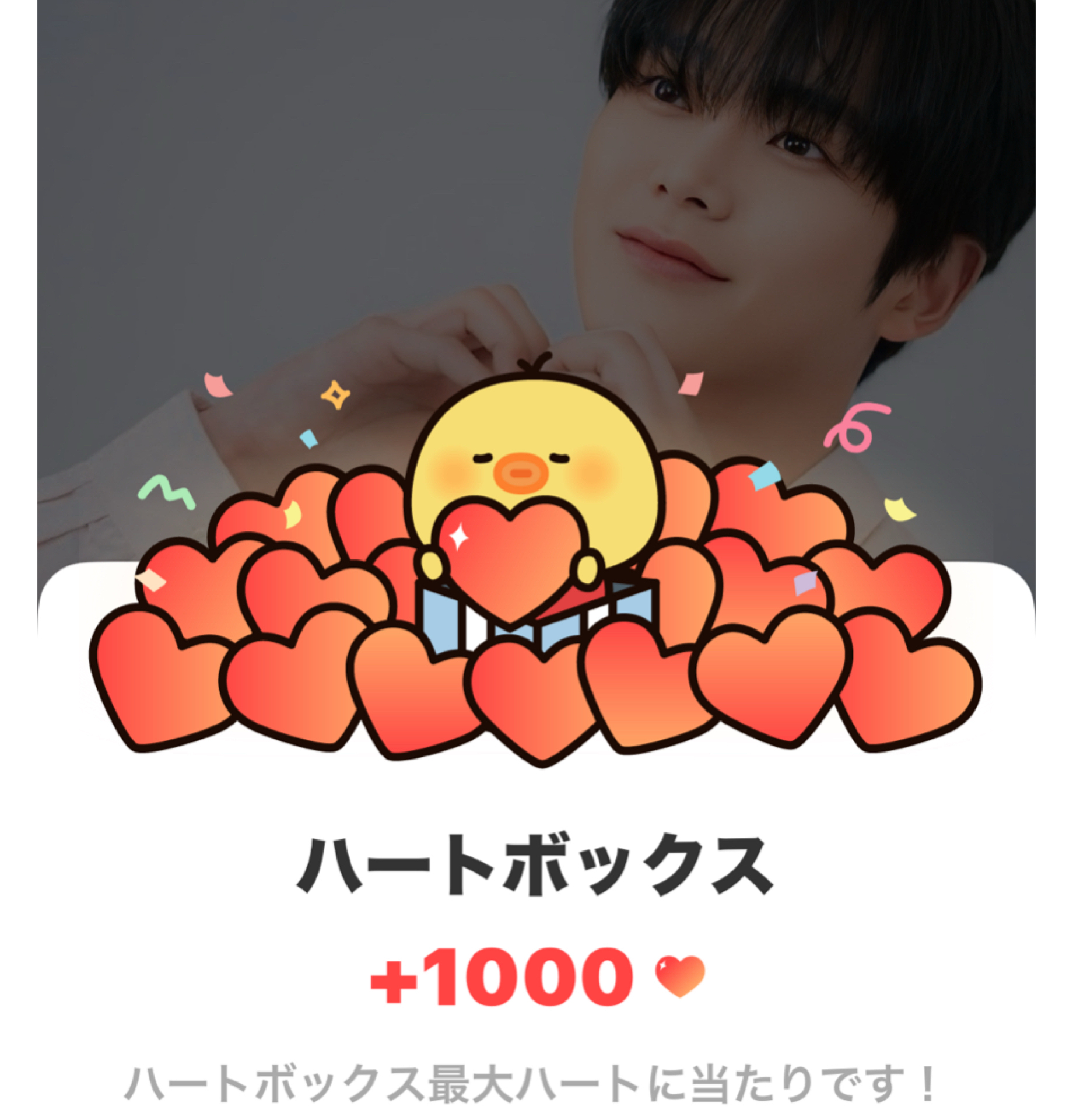 로운 최근 활동샷