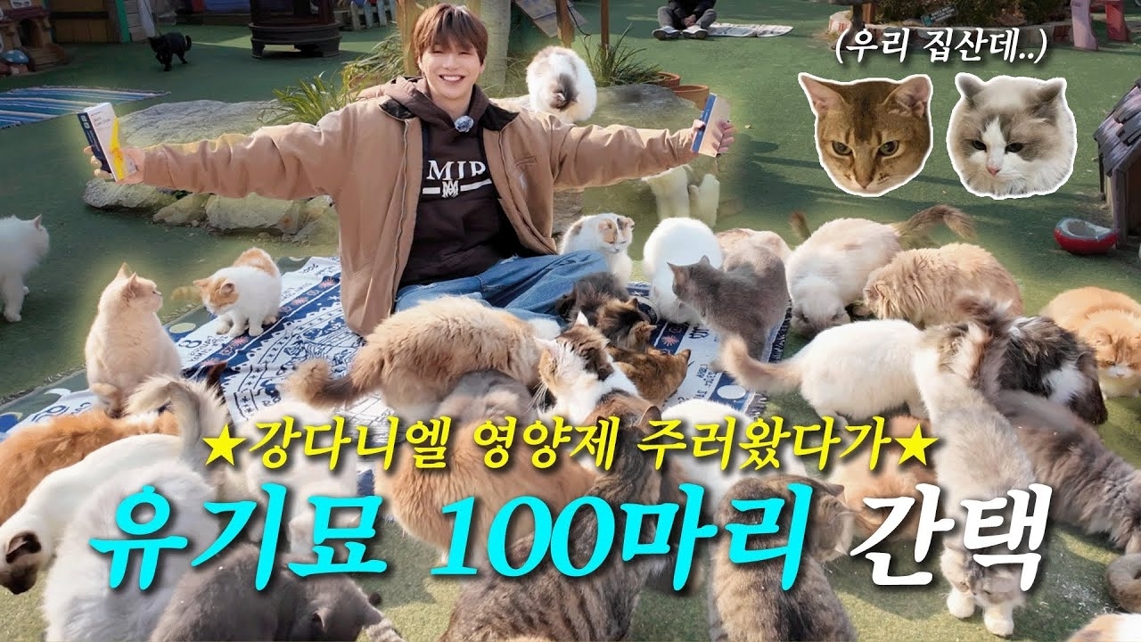 강다니엘의 비하인드 컷