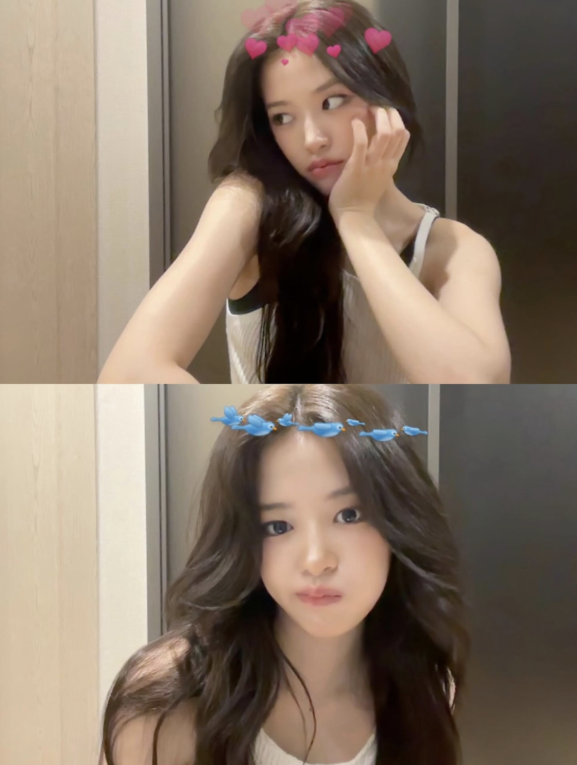 안유진 (IVE) 팬이 찍은 순간