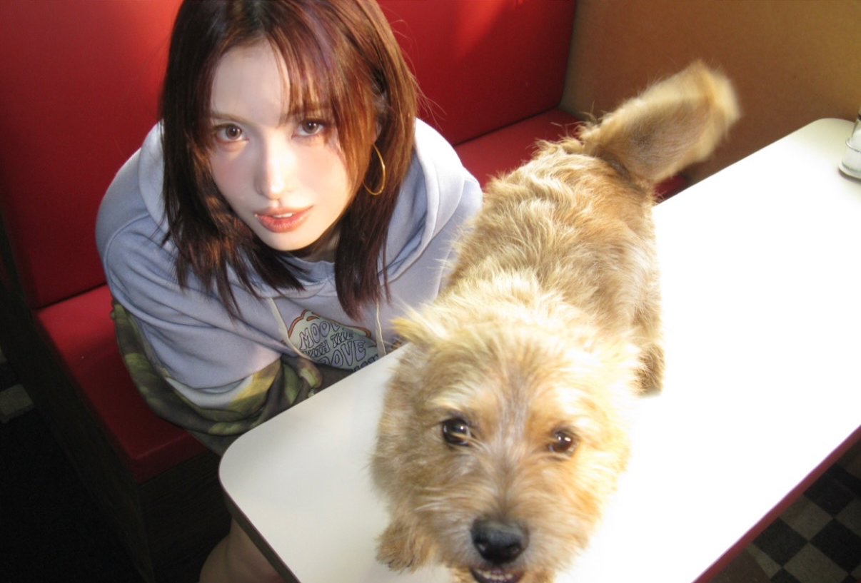 모모 (TWICE)의 최신 사진