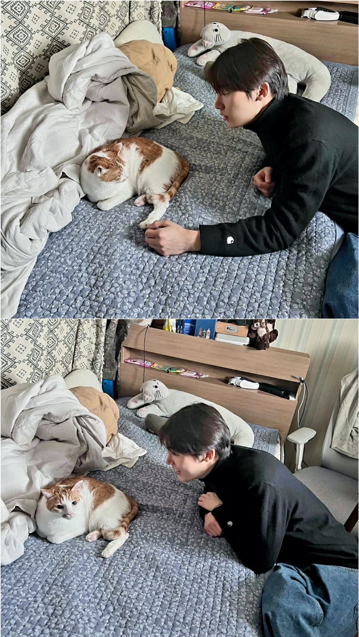 Today's most popular wallpaper in the Sanha (ASTRO) community