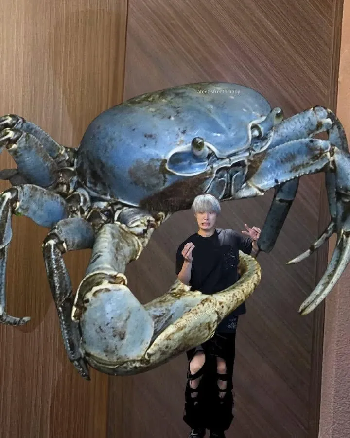 Must-see popular post of 자유게시판, your favorite