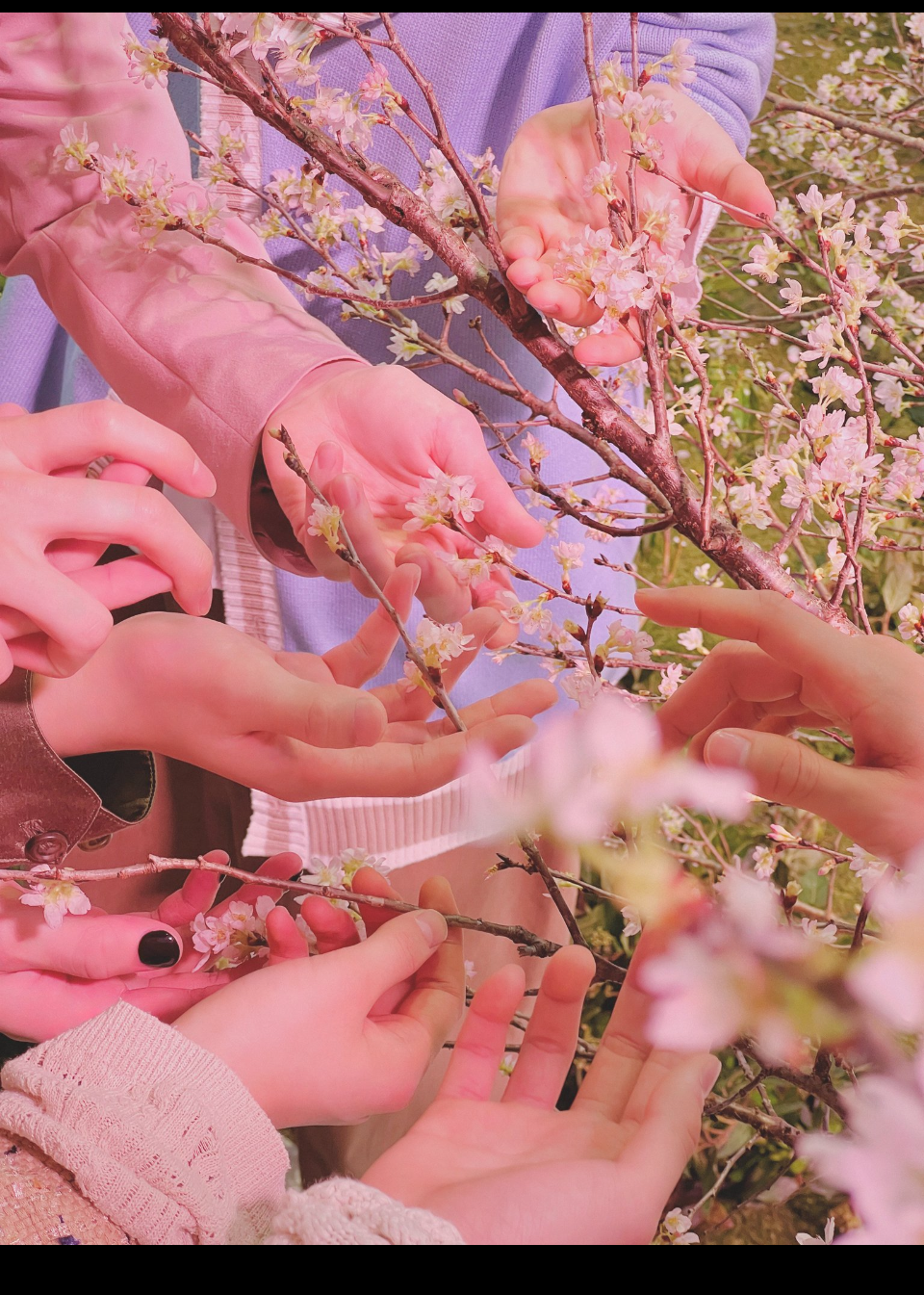 K (&TEAM)的最新照片