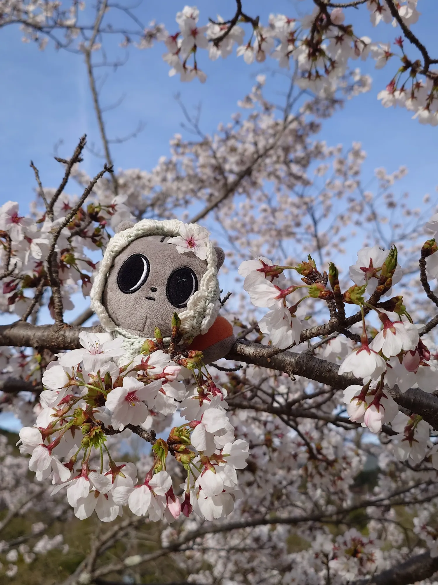 太顯 (TOMORROW X TOGETHER)的最新照片