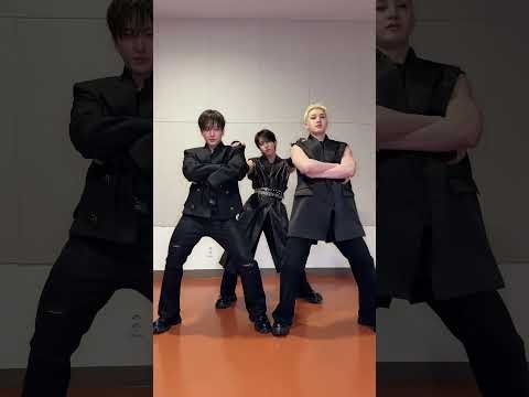 Stray Kids 팬이 찍은 순간