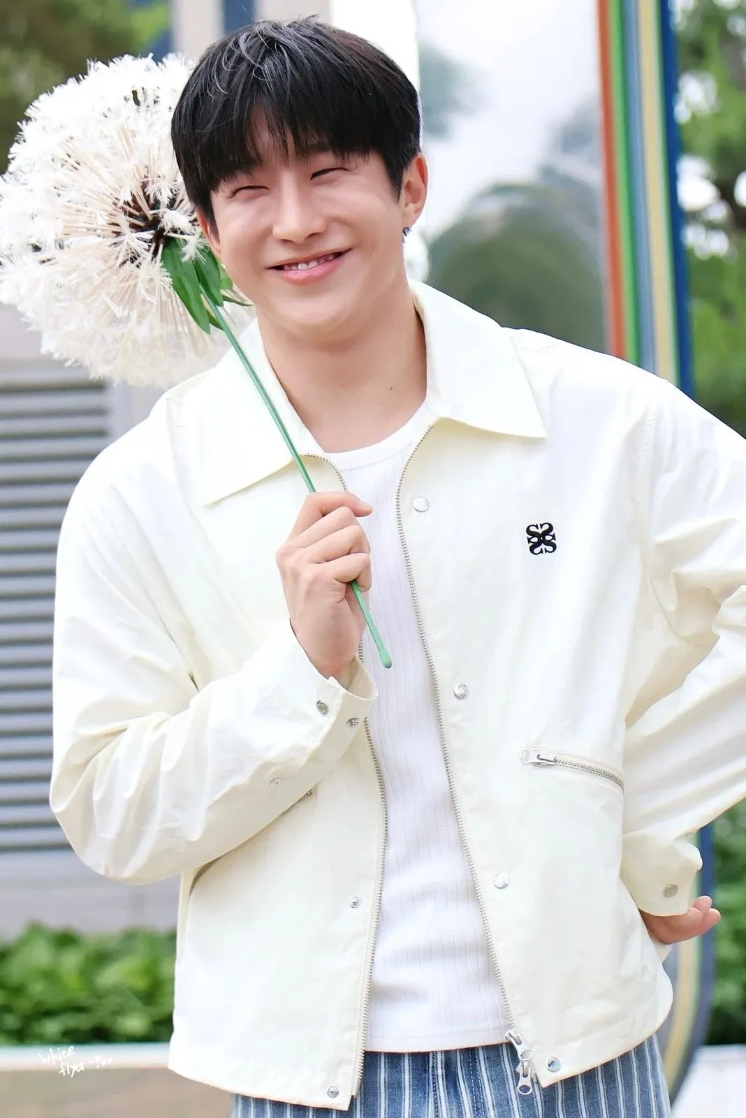 Recent activity shot of Jinjin (ASTRO)