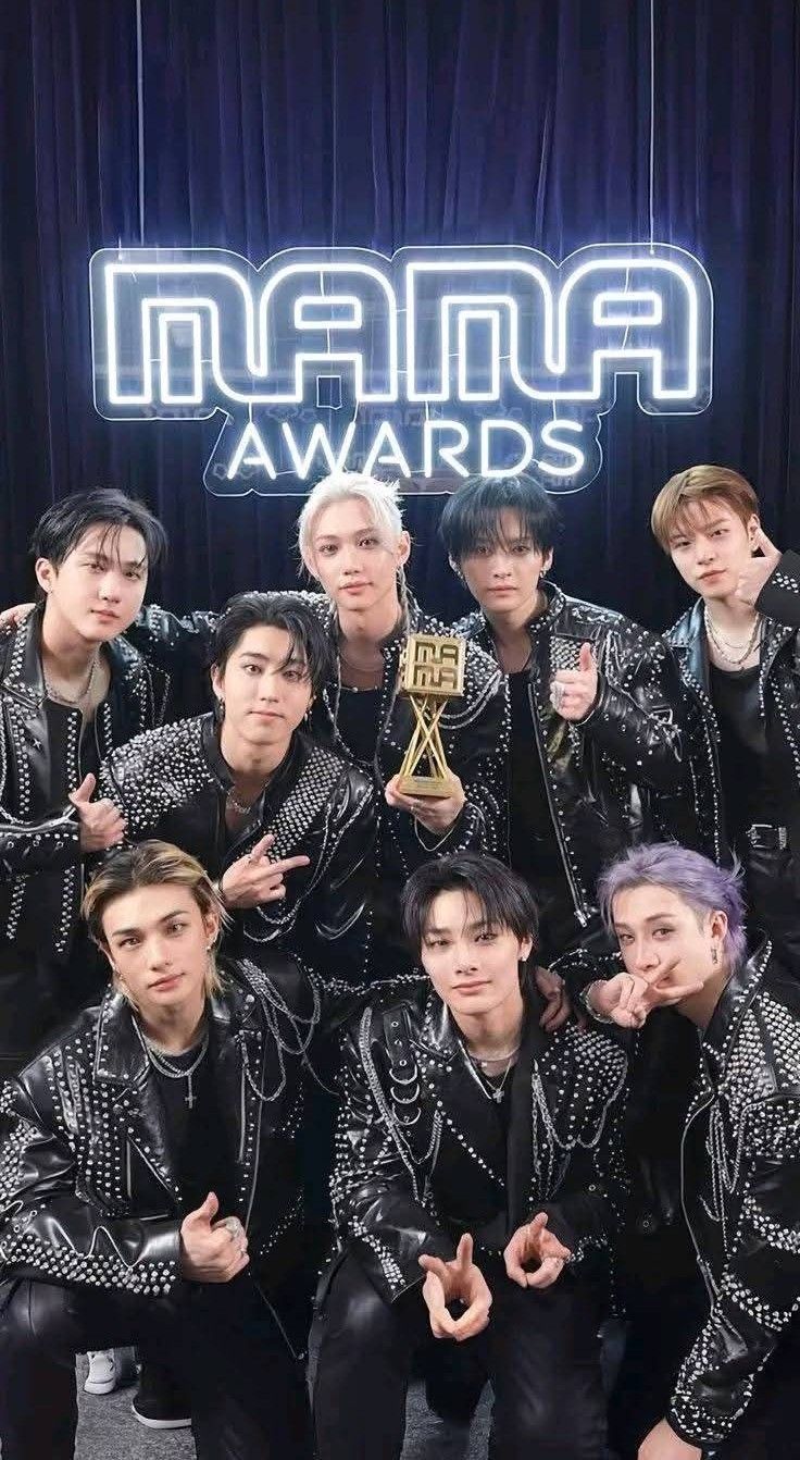 Stray Kids 팬이 찍은 순간