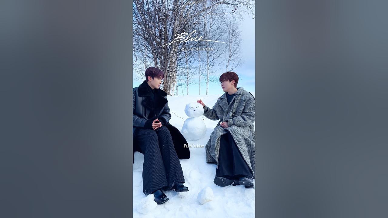 A moment captured by SEVENTEEN's fan