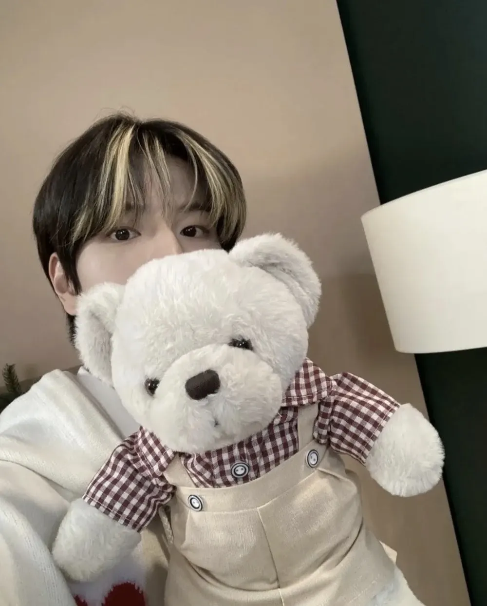 A moment captured by Seungmin (Stray Kids)'s fan