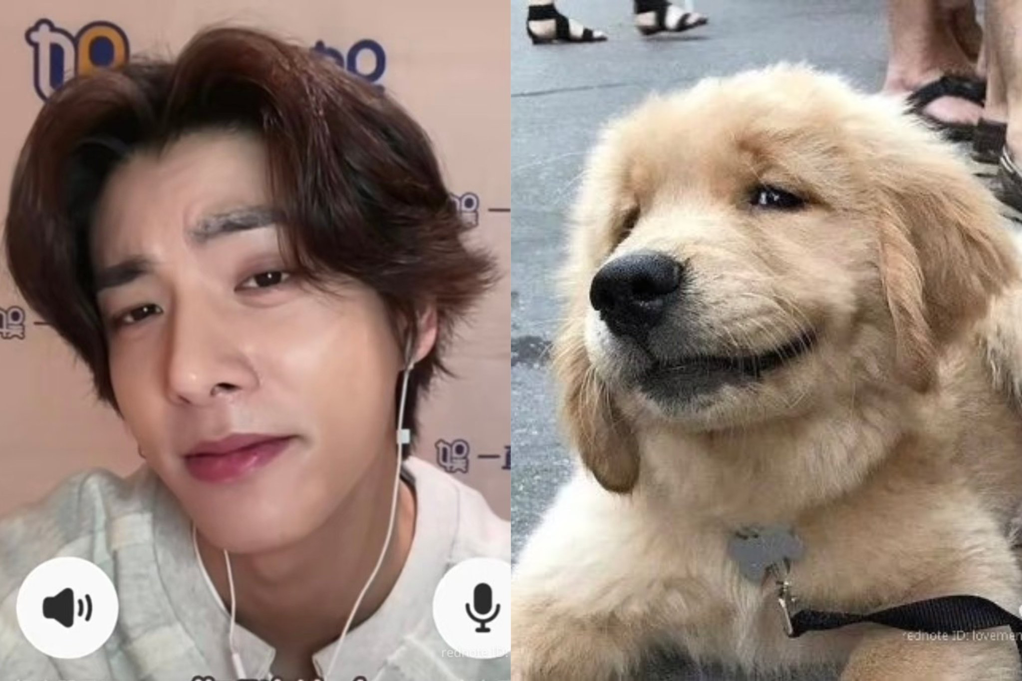 A moment captured by Jake (ENHYPEN)'s fan