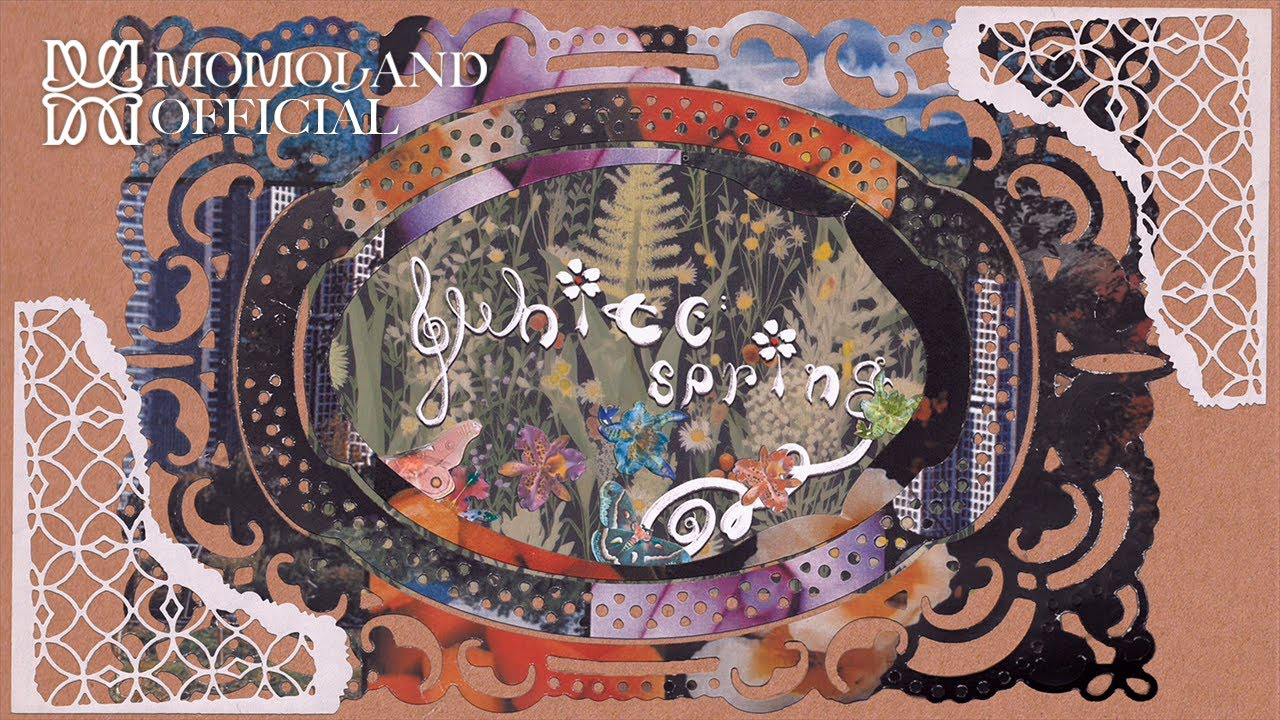 Recent activity shot of MOMOLAND