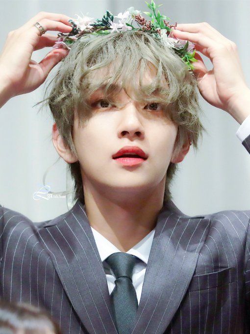 A moment captured by Joshua (SEVENTEEN)'s fan