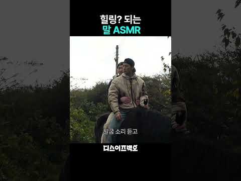 백호 최근 활동샷