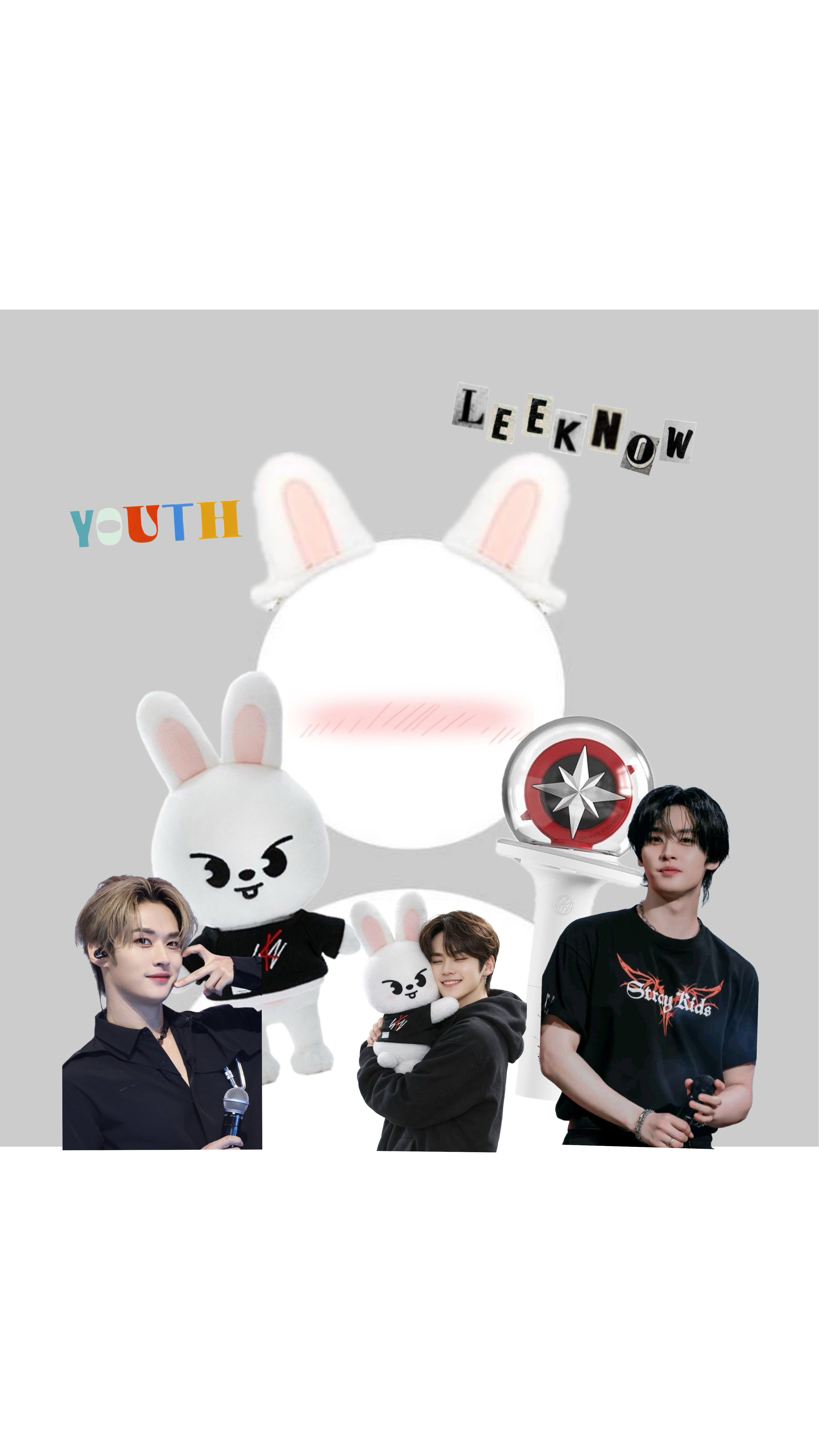 Stray Kids 팬이 찍은 순간