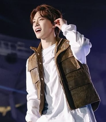 A moment captured by Dino (SEVENTEEN)'s fan