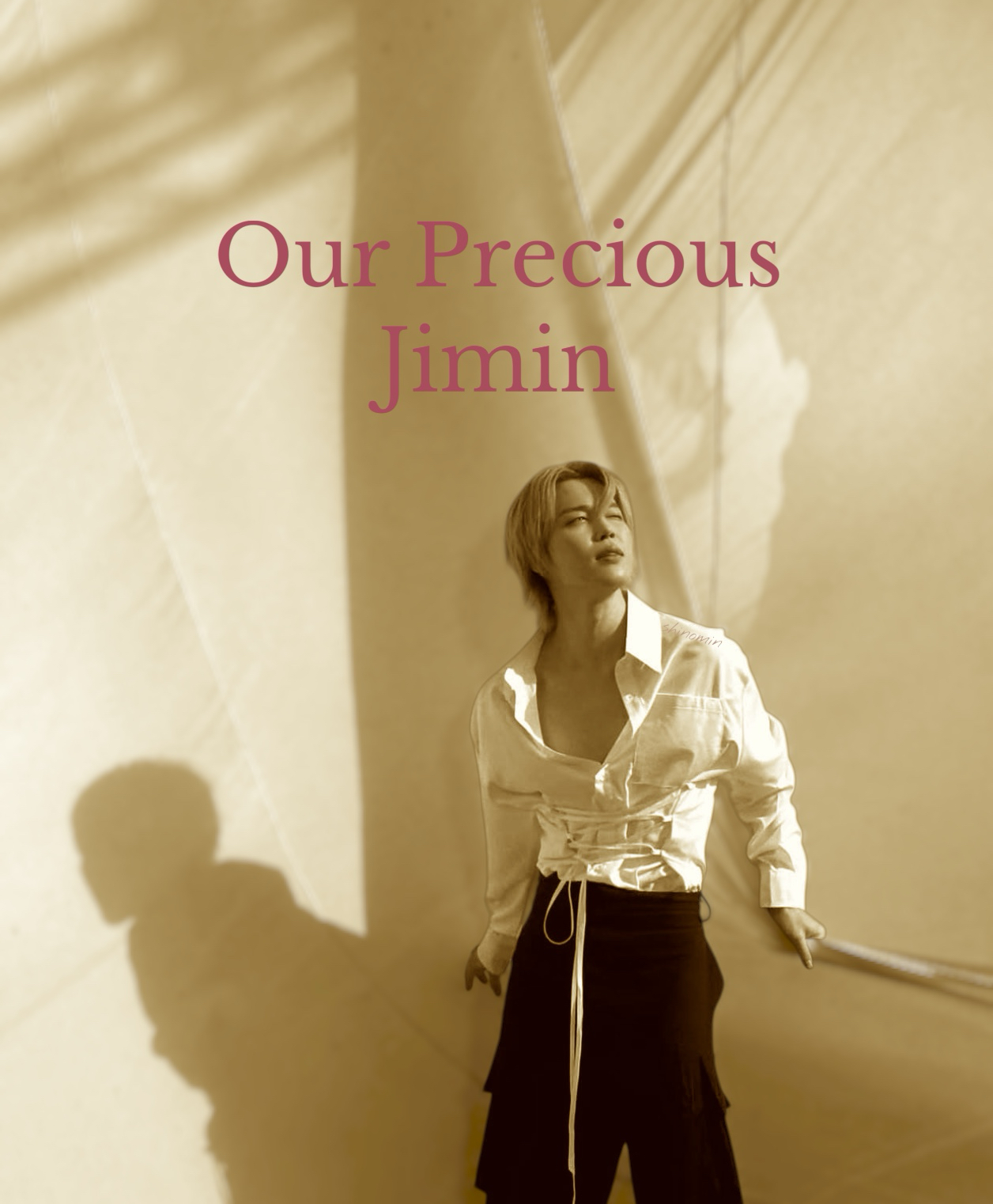 지민 (방탄소년단) 팬이 찍은 순간