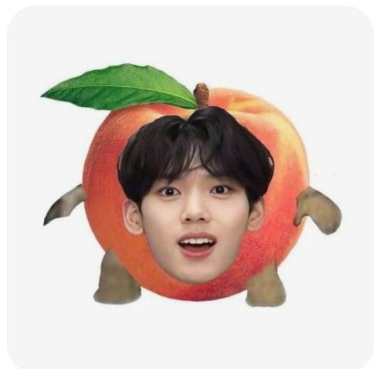 A moment captured by ZEROBASEONE's fan