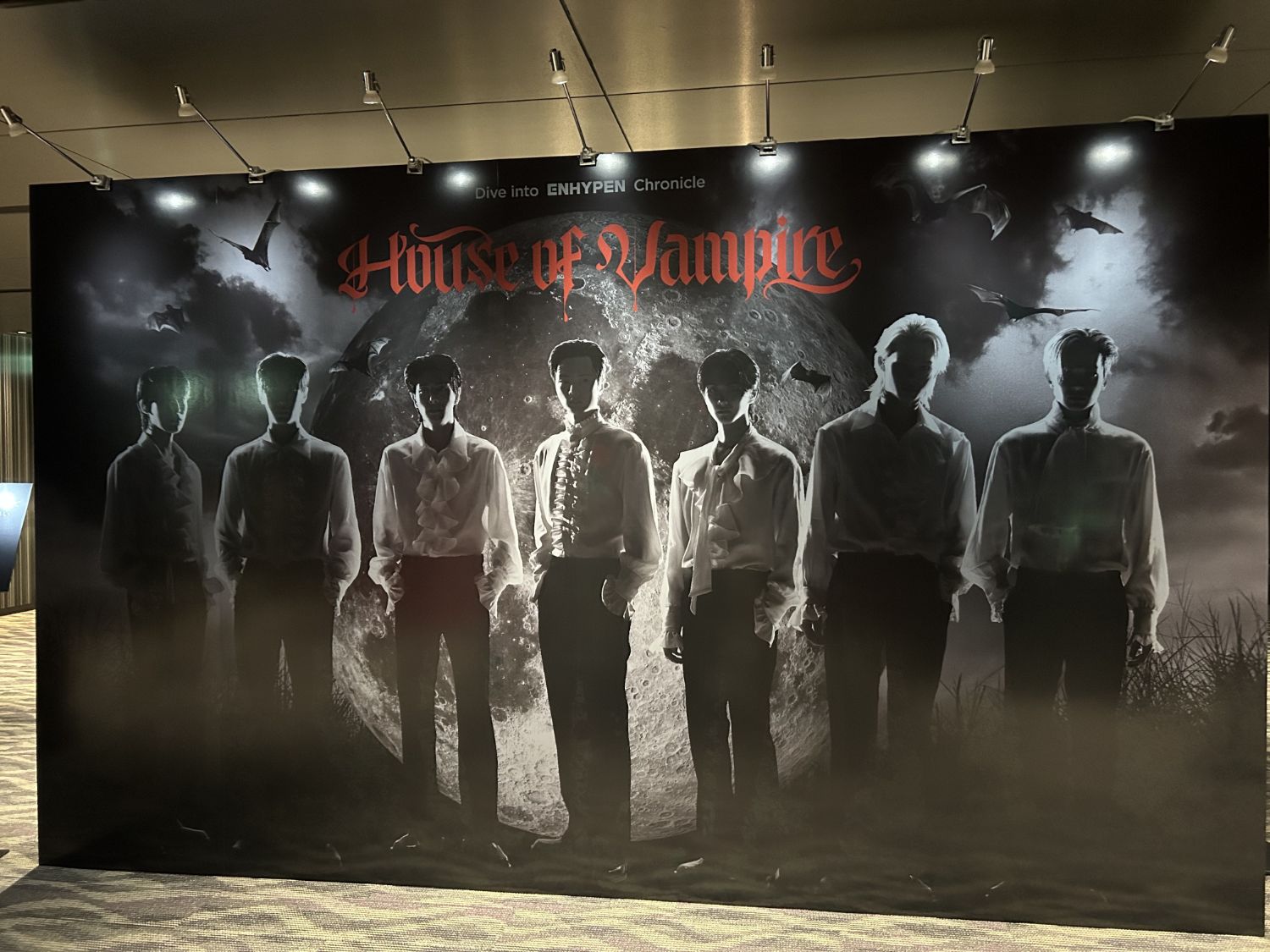 ENHYPEN 팬이 찍은 순간