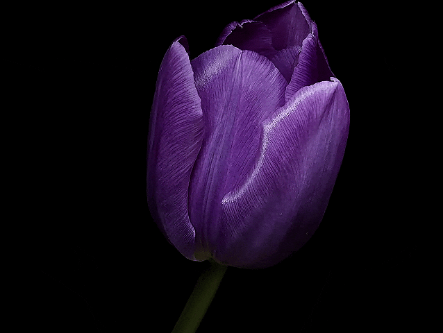 community_articles_contents