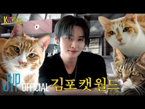 方灿 (Stray Kids)的幕后花絮