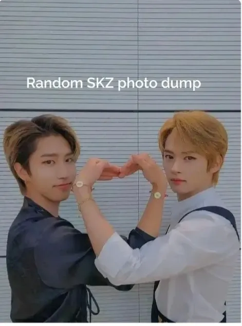Stray Kids 팬이 찍은 순간
