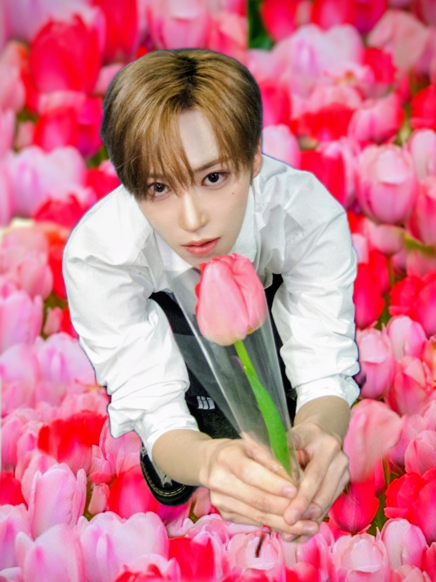 A moment captured by Arno (ALPHA DRIVE ONE)'s fan