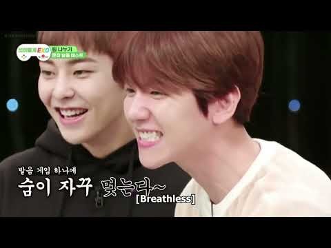 伯賢 (EXO)粉絲拍下的瞬間