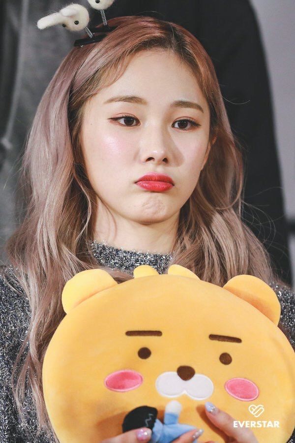 Recent activity shot of Mia