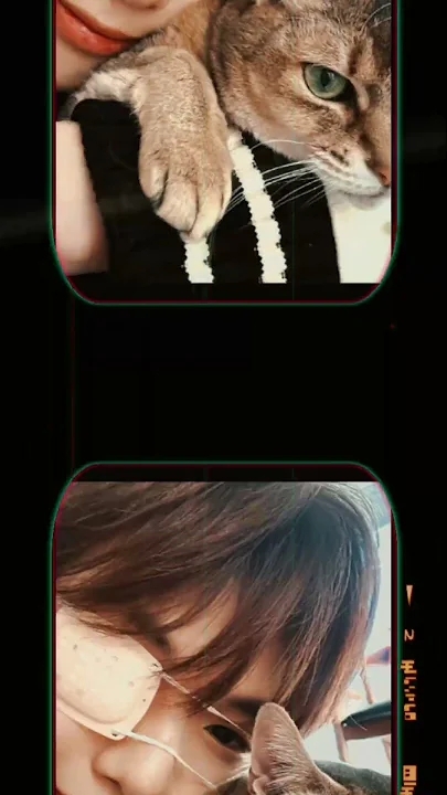 강다니엘의 팬들이 직접 만든 특별한 배경화면