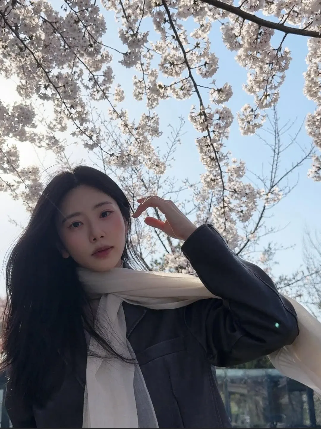 A moment captured by DREAMCATCHER's fan