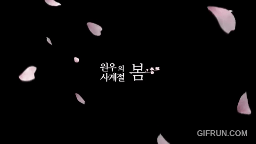 A moment captured by Wonwoo (SEVENTEEN)'s fan