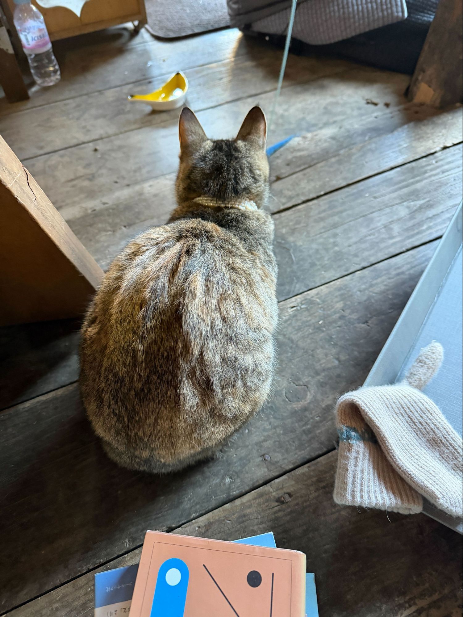 Recent activity shot of Keonho (CORTIS)