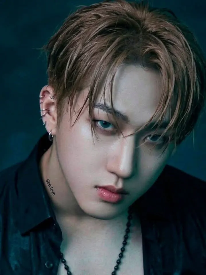 彰彬 (Stray Kids)粉丝拍下的瞬间