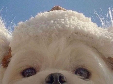 Recent activity shot of Seungmin (Stray Kids)