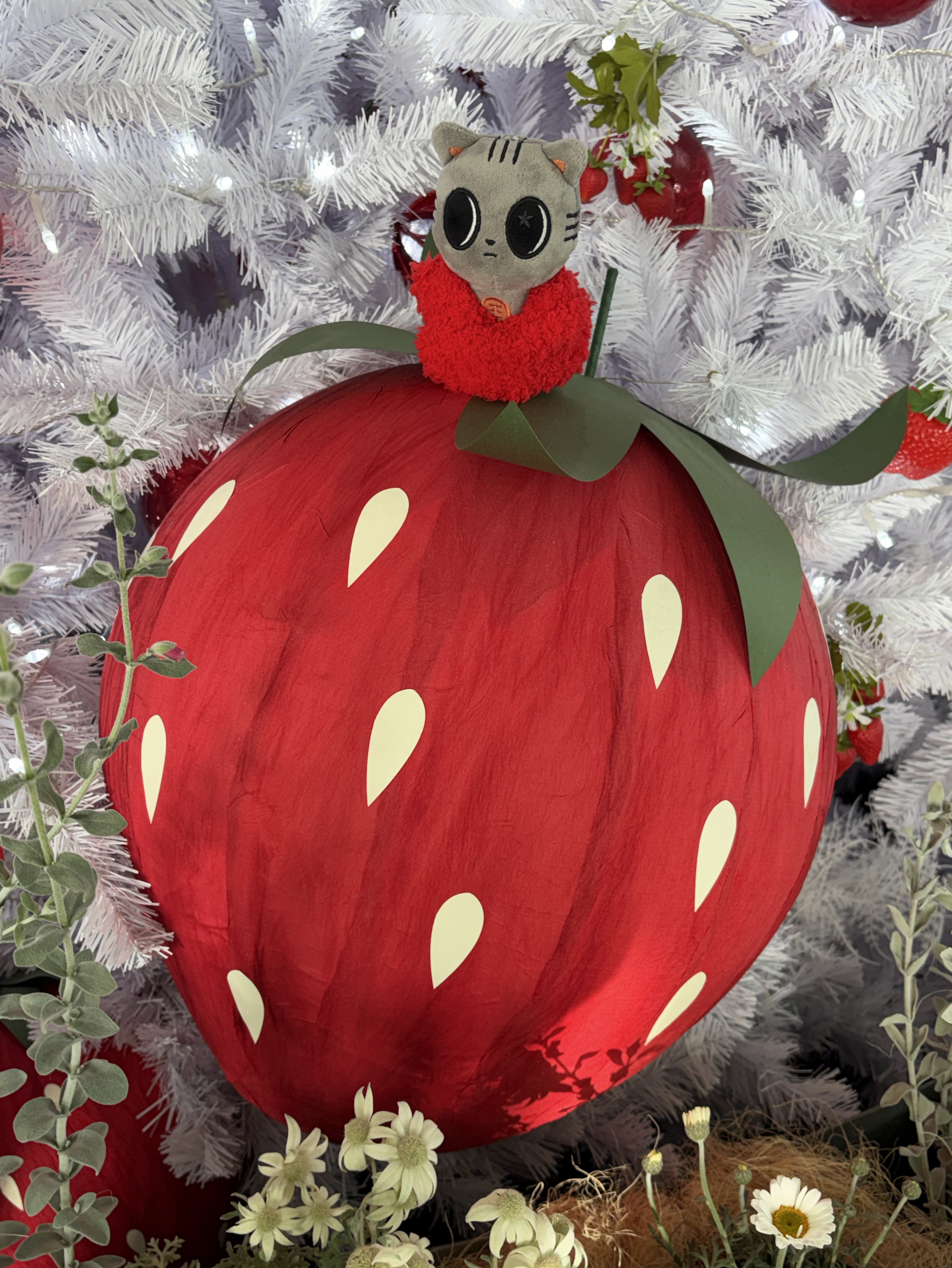 A moment captured by Taehyun (TOMORROW X TOGETHER)'s fan