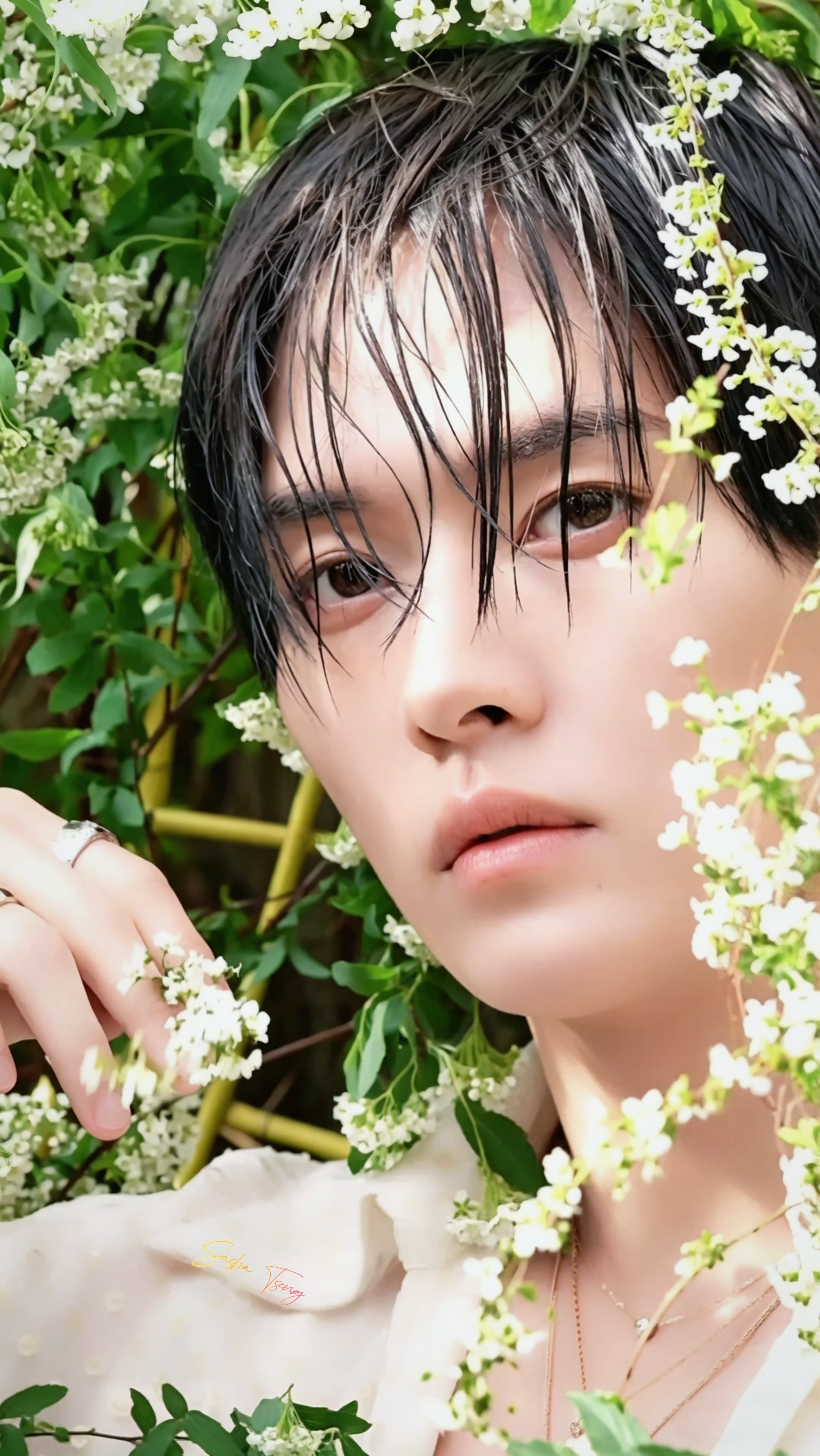 Fandom-recommended wallpaper image of Lee Know (Stray Kids)