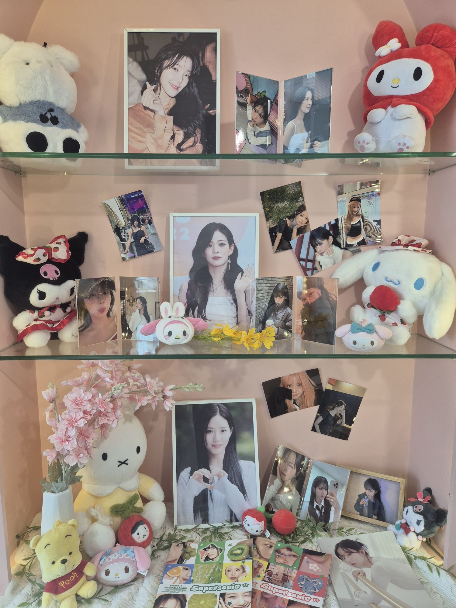 A moment captured by fromis (9)'s fan