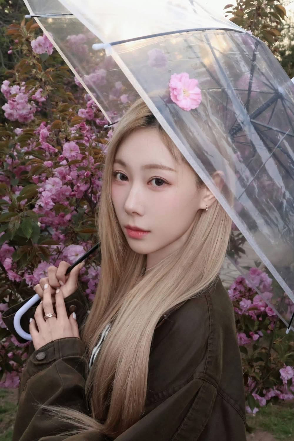 Momen yang diabadikan oleh penggemar DREAMCATCHER