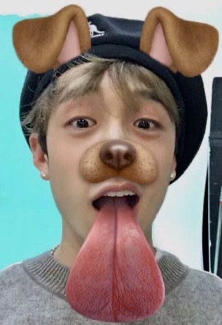 Foto aktivitas terbaru Stray Kids