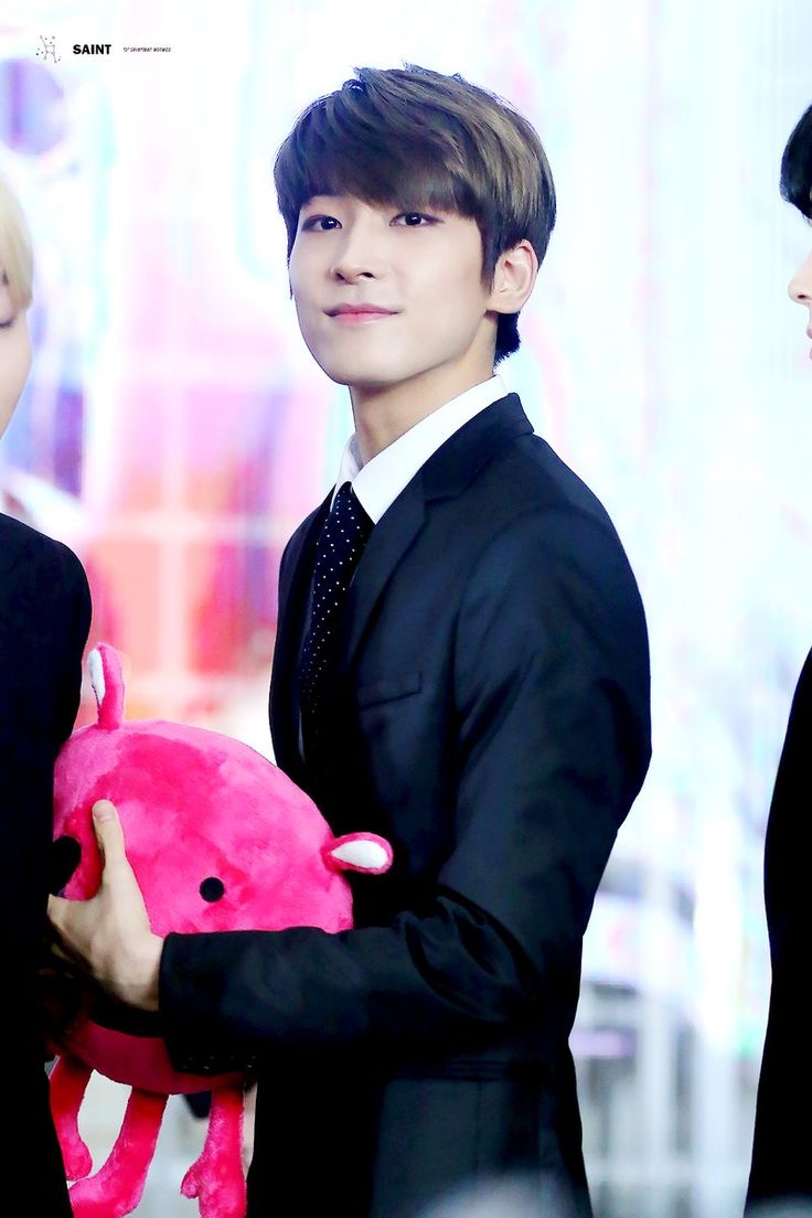 A moment captured by Wonwoo (SEVENTEEN)'s fan