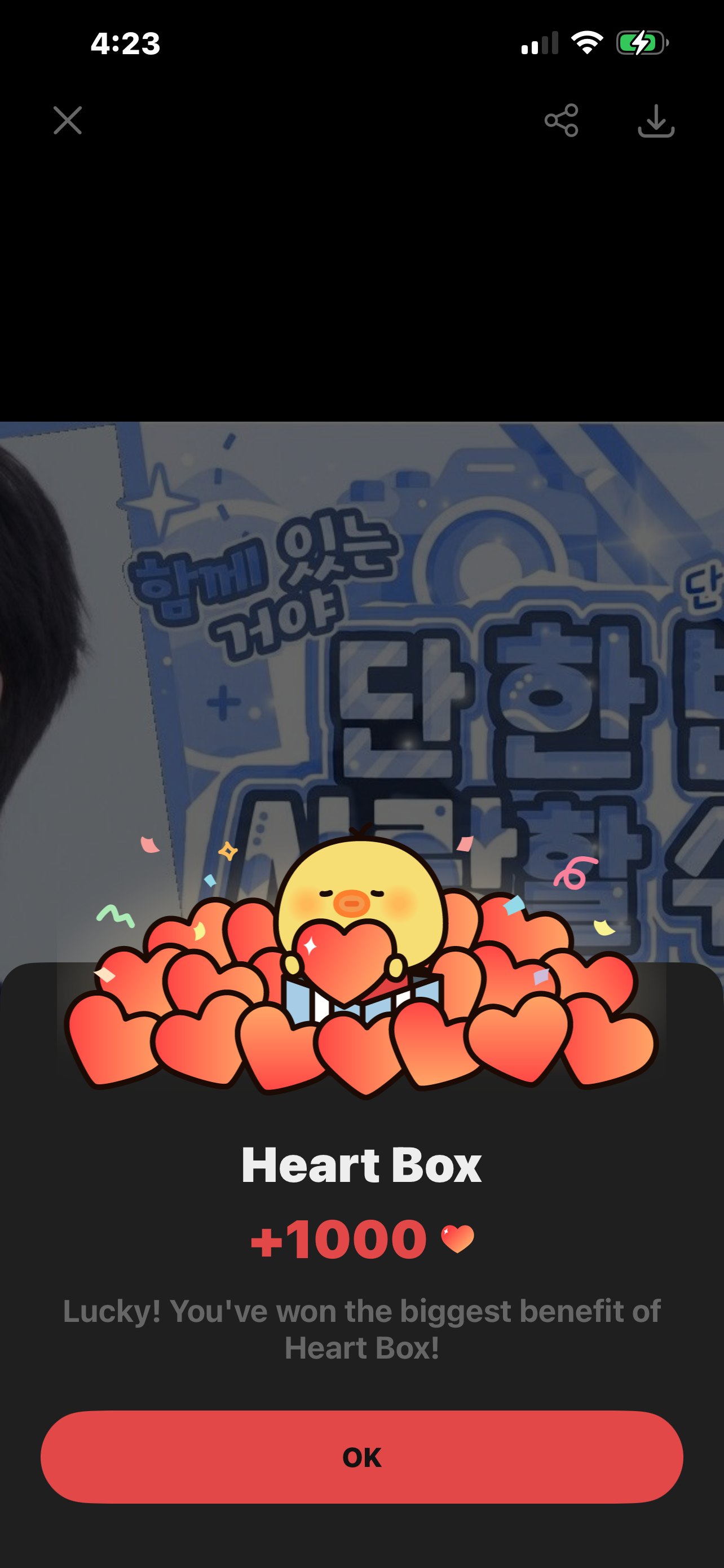 The most beloved wallpaper among Jay (ENHYPEN)'s fans