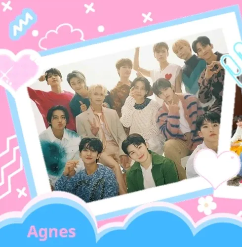 세븐틴 팬이 찍은 순간