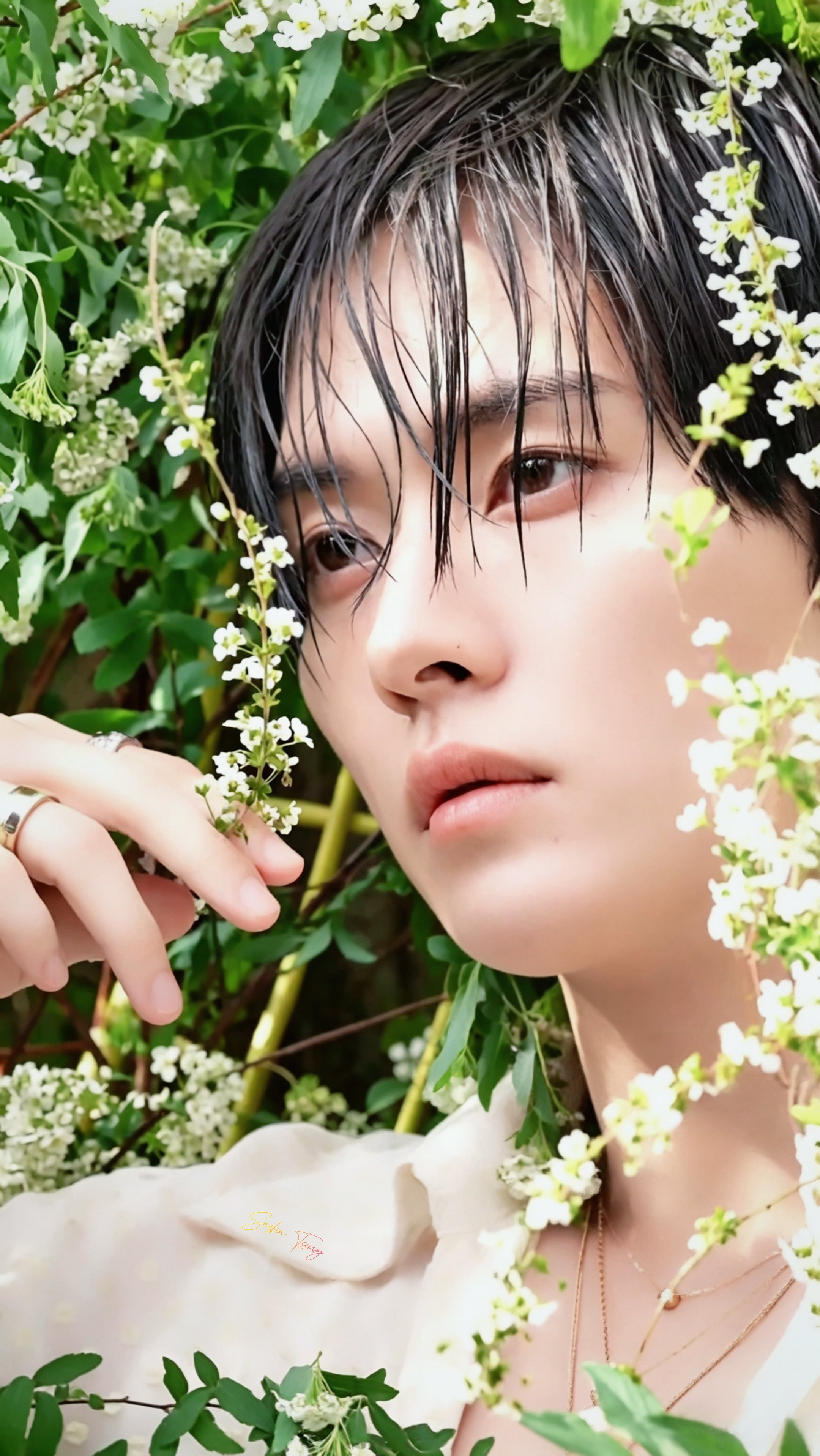 Fan-made special wallpaper for Lee Know (Stray Kids)