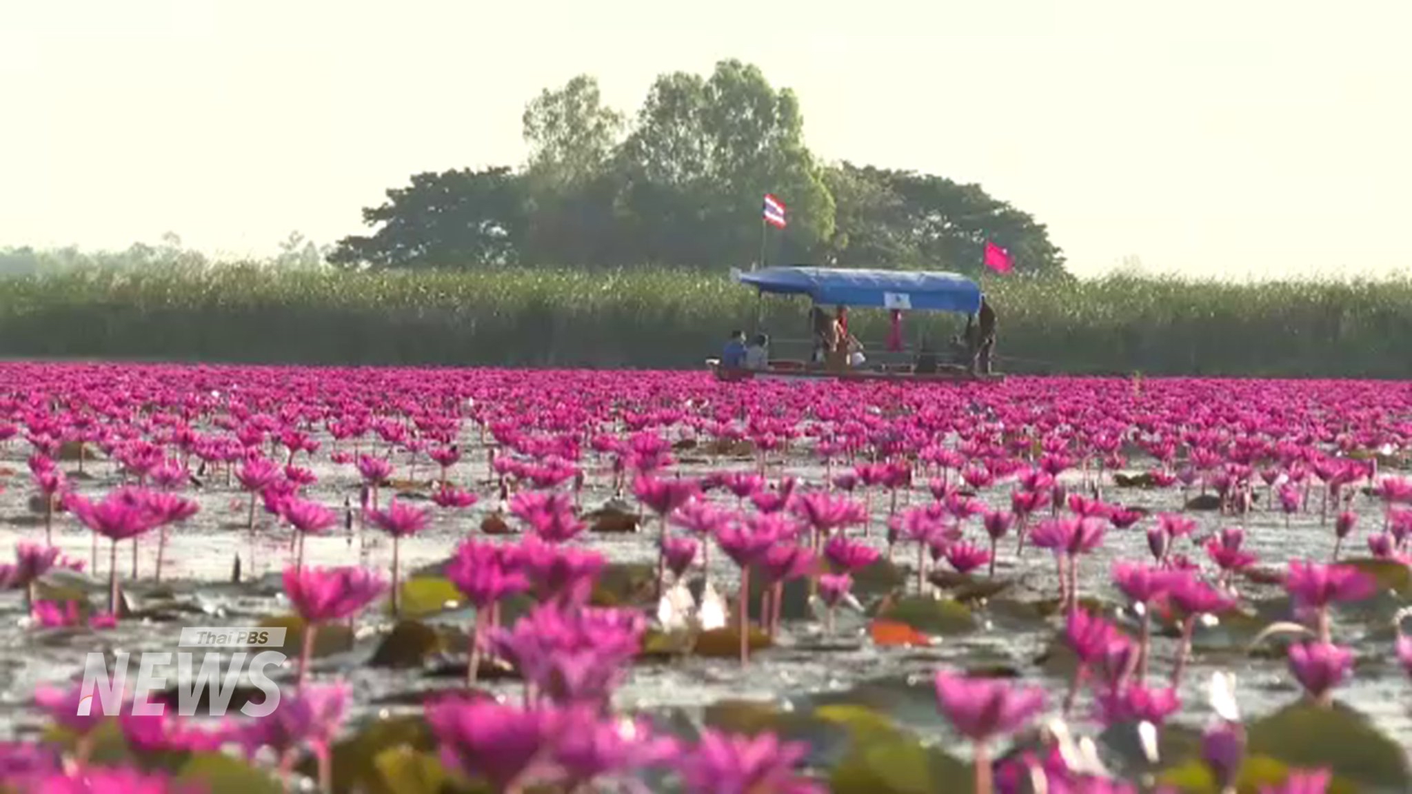 리사 (BLACKPINK) 팬이 찍은 순간