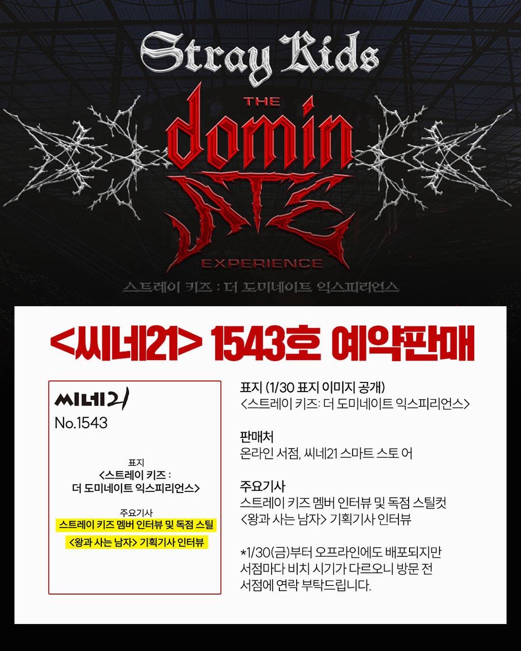 Behind-the-scenes cut of Stray Kids